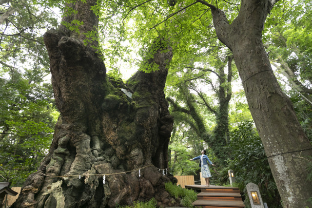 來宮神社